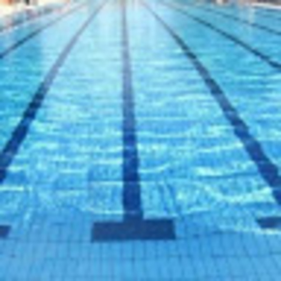 Meet your Posher, Peyton - Picture 1 of 1